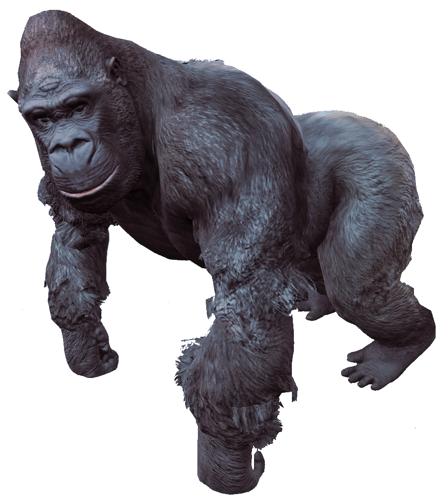 Gorilla (1).png