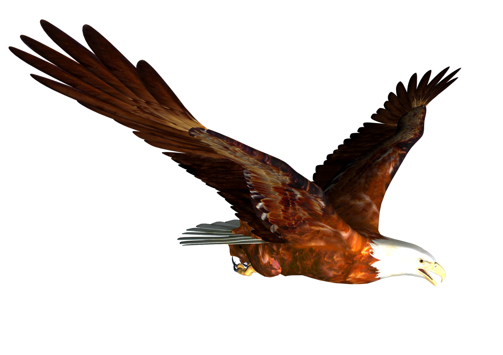 eagle_PNG1214(1).png