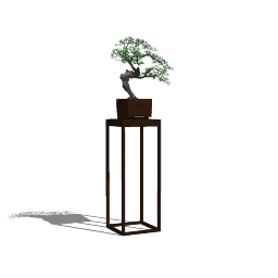 BONSAI 01 (20).skp