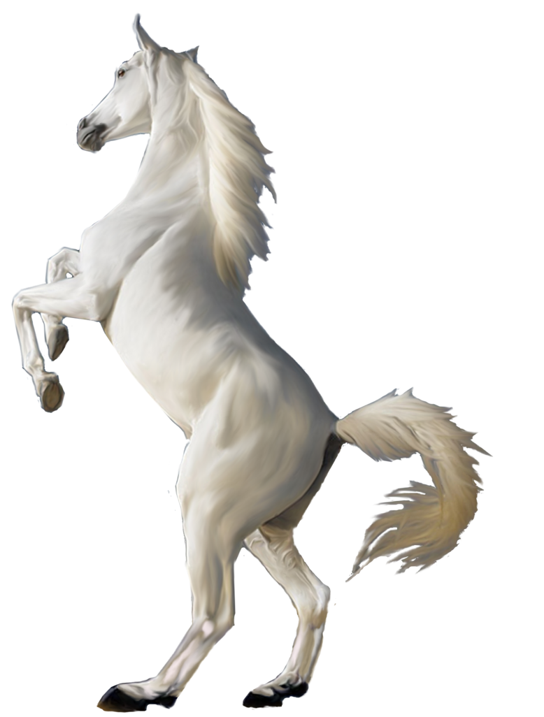 horse_PNG1381522325.png