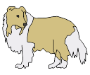 2D_Animal_Dog_Collie.png