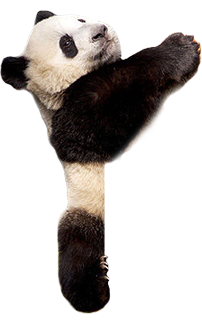 panda (7).png