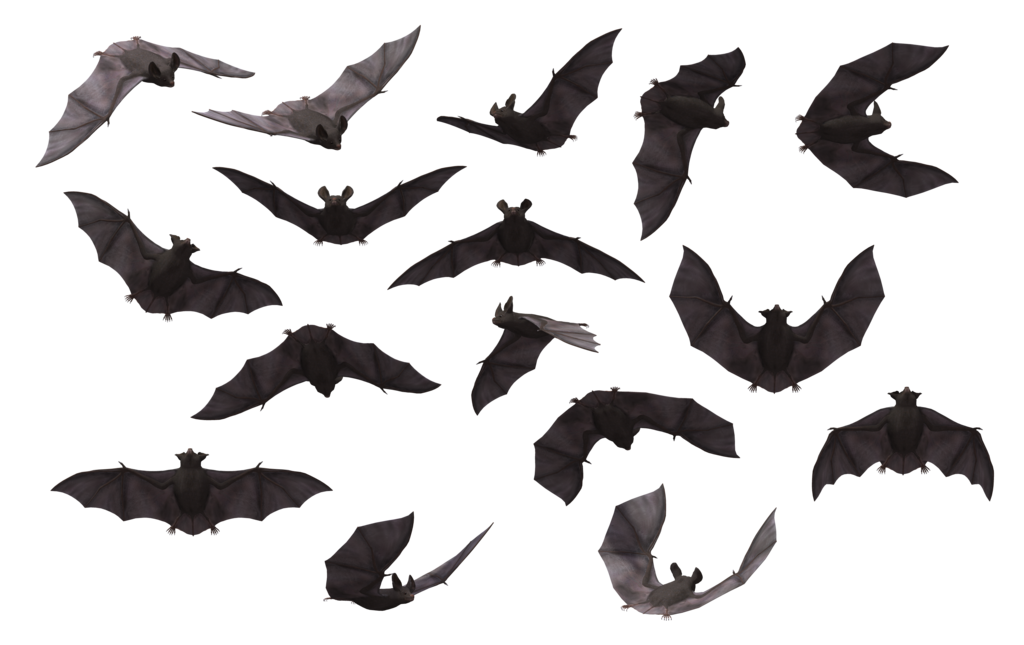 016.png
