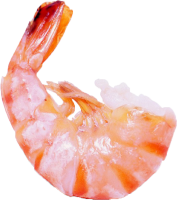 shrimp-psd-467081.png