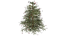 Christmas_tree_01_dark_green.skp