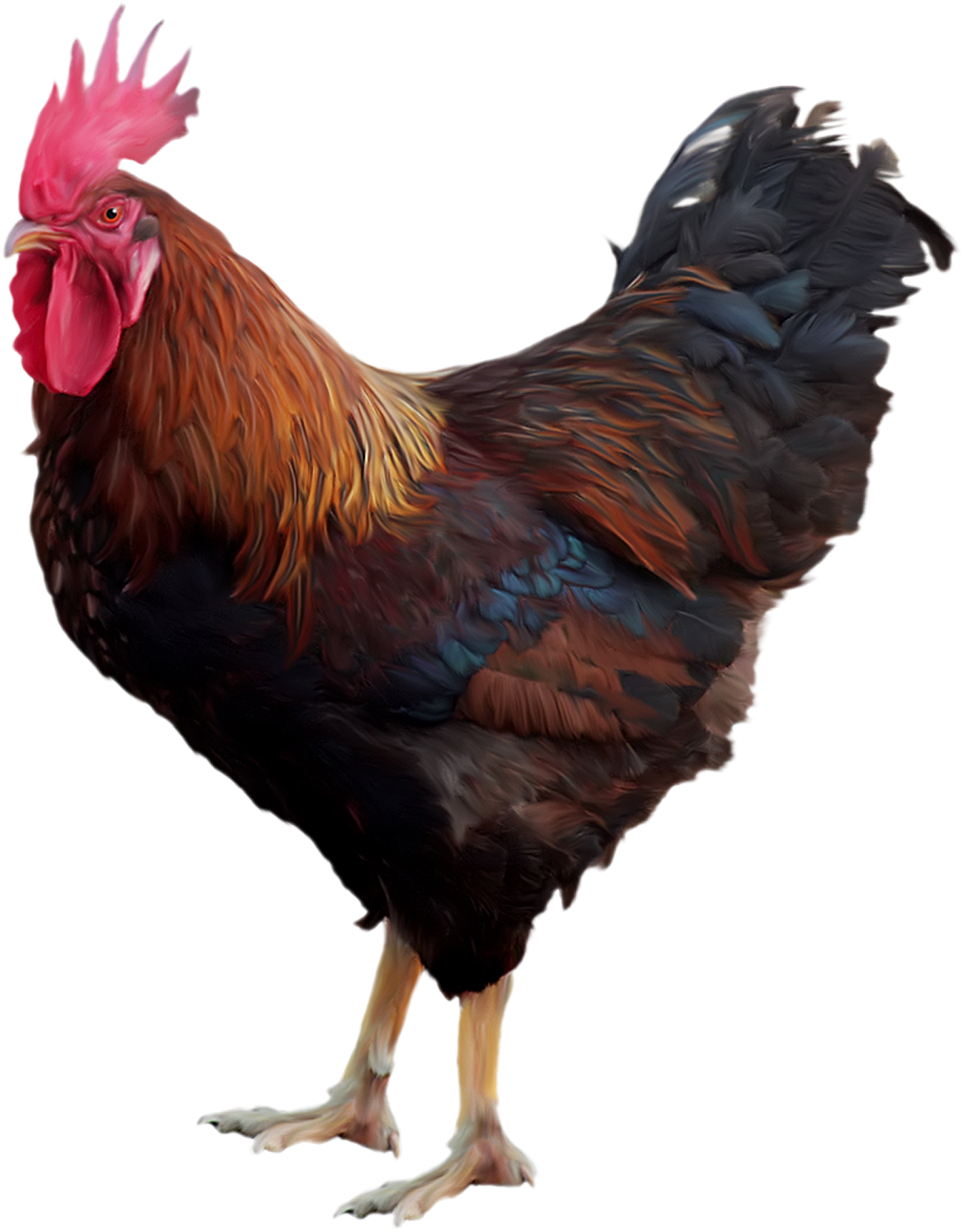 57ad8f4f484671567df7cdc0.png