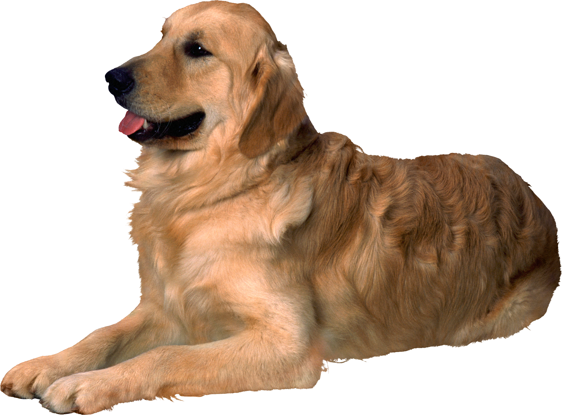 0_14c383_d88f4e2c_orig.png