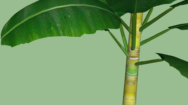 CAY DECOR - 01.png