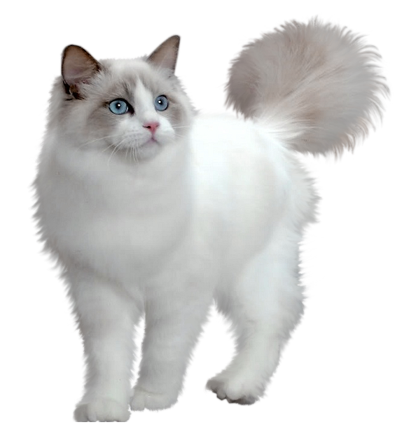 0122.png