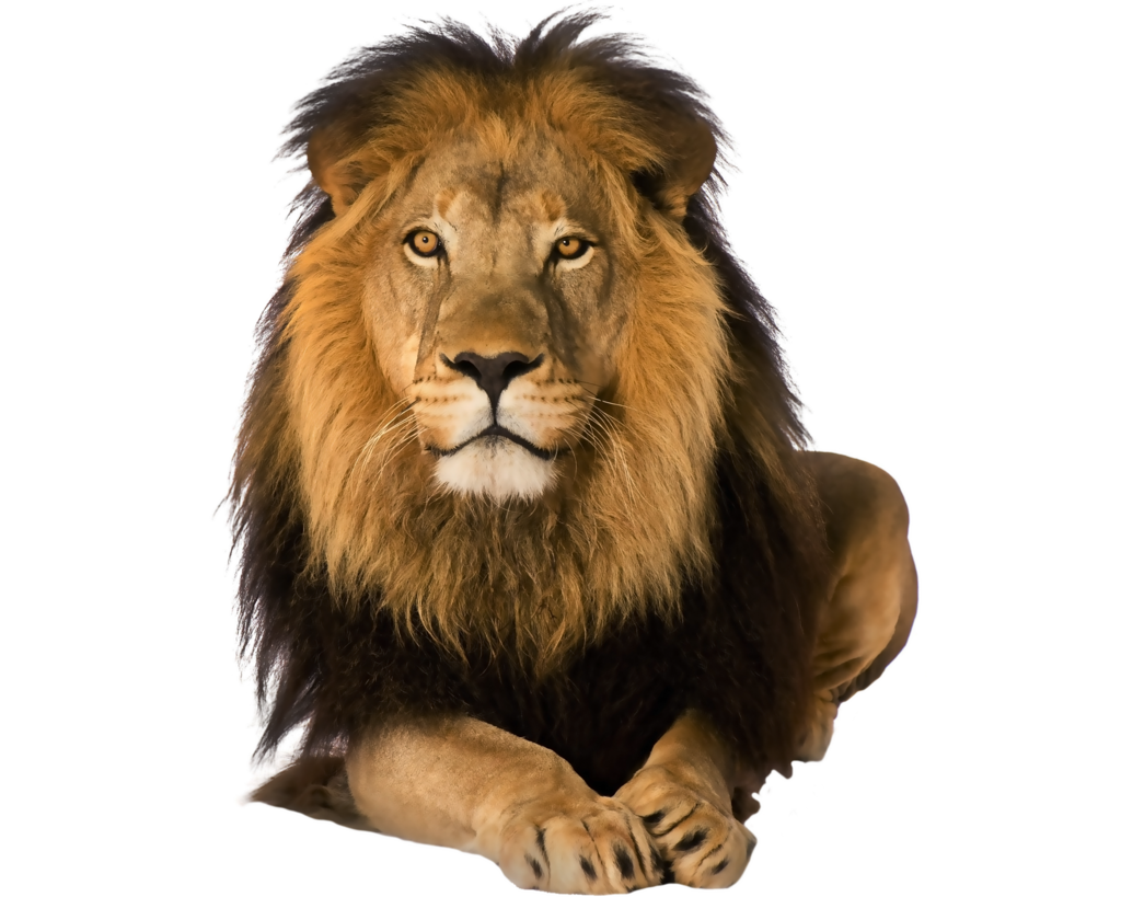 55be7fd24ffd299c848f6b065c899b3c.png