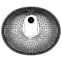 Kohler_Caxton_2209.skp