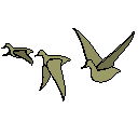 birds.skp