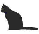 2D_Animal_Cat_Cleo.png