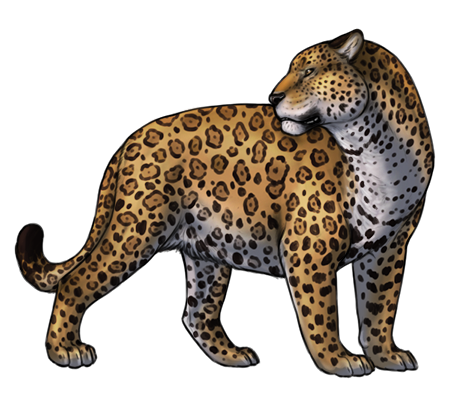 predator_jaguar_zpsfae3aabf.png