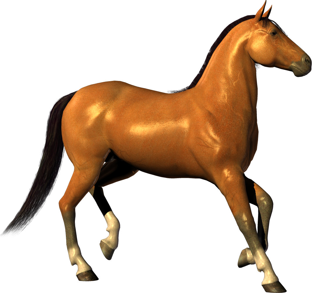 horse_PNG1381522977.png