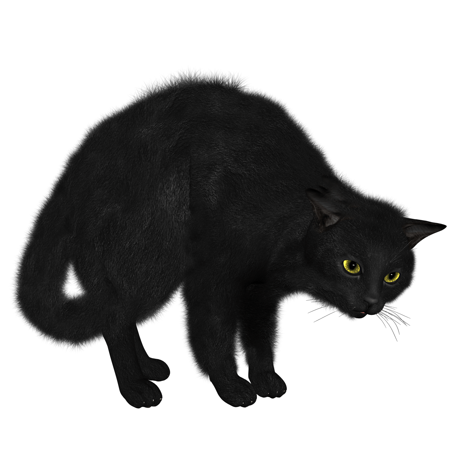 0130.png