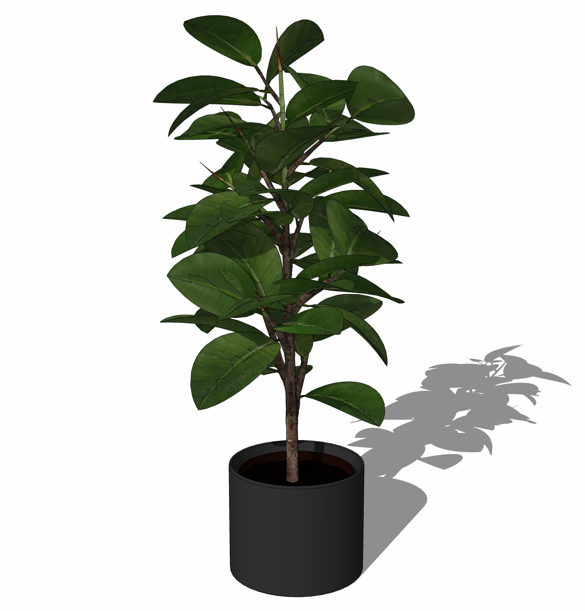 CAY DECOR - 109.jpg