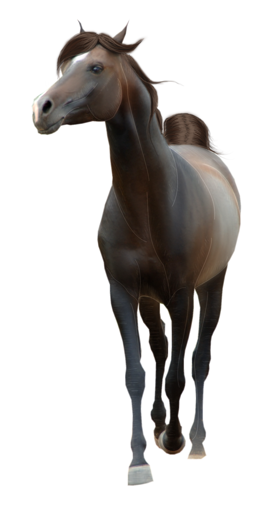 horse_PNG1381522147.png