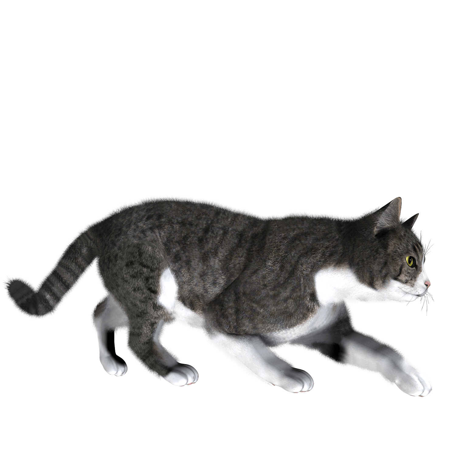 0124.png