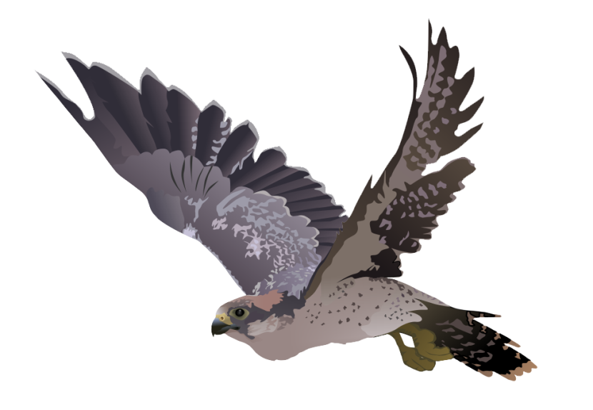 free-to-use-amp-public-domain-falcon-clip-art-830x574.png