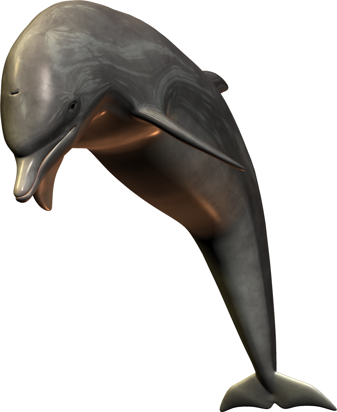 dolph2.png
