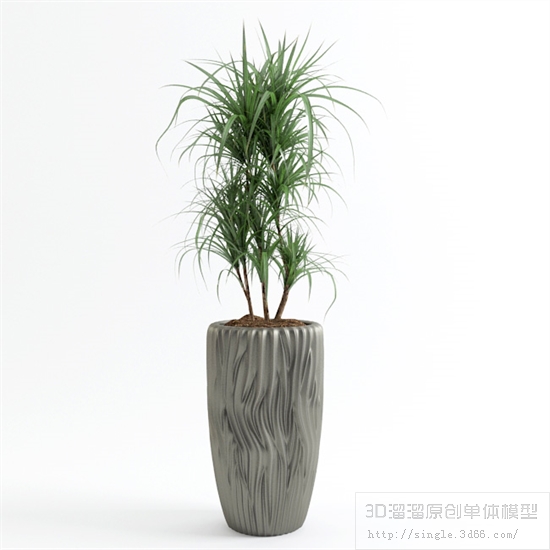 CAY DECOR - 08.jpg