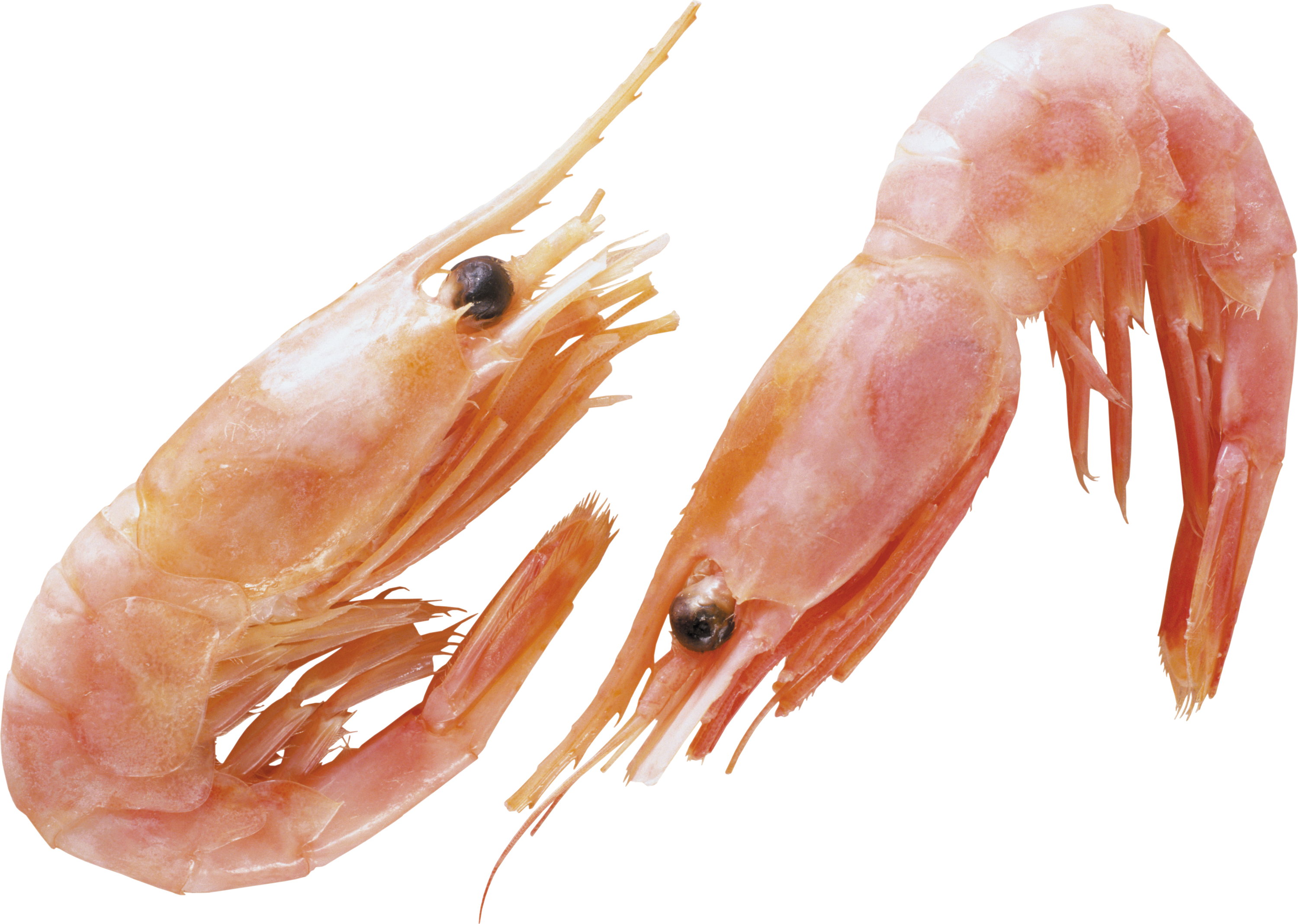 ee64ac2aeba9.png