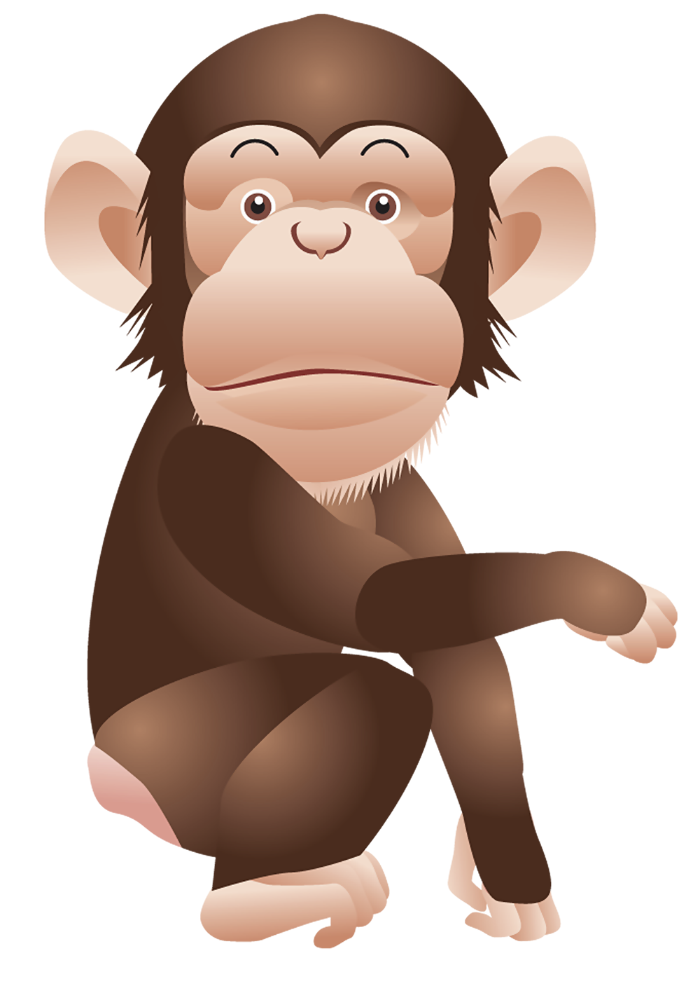 Monkey_PNG_Clipart_Picture.png