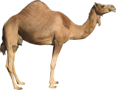 08.png