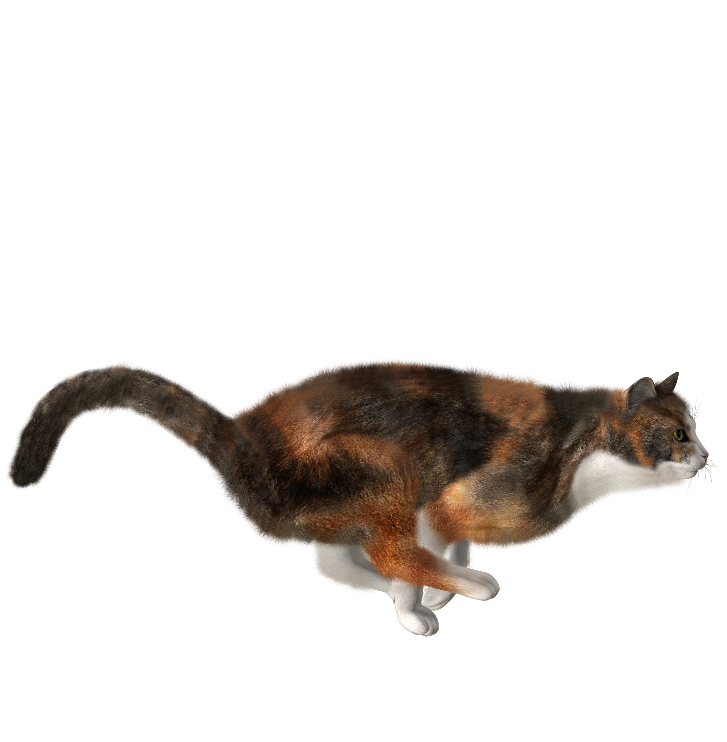 012.png